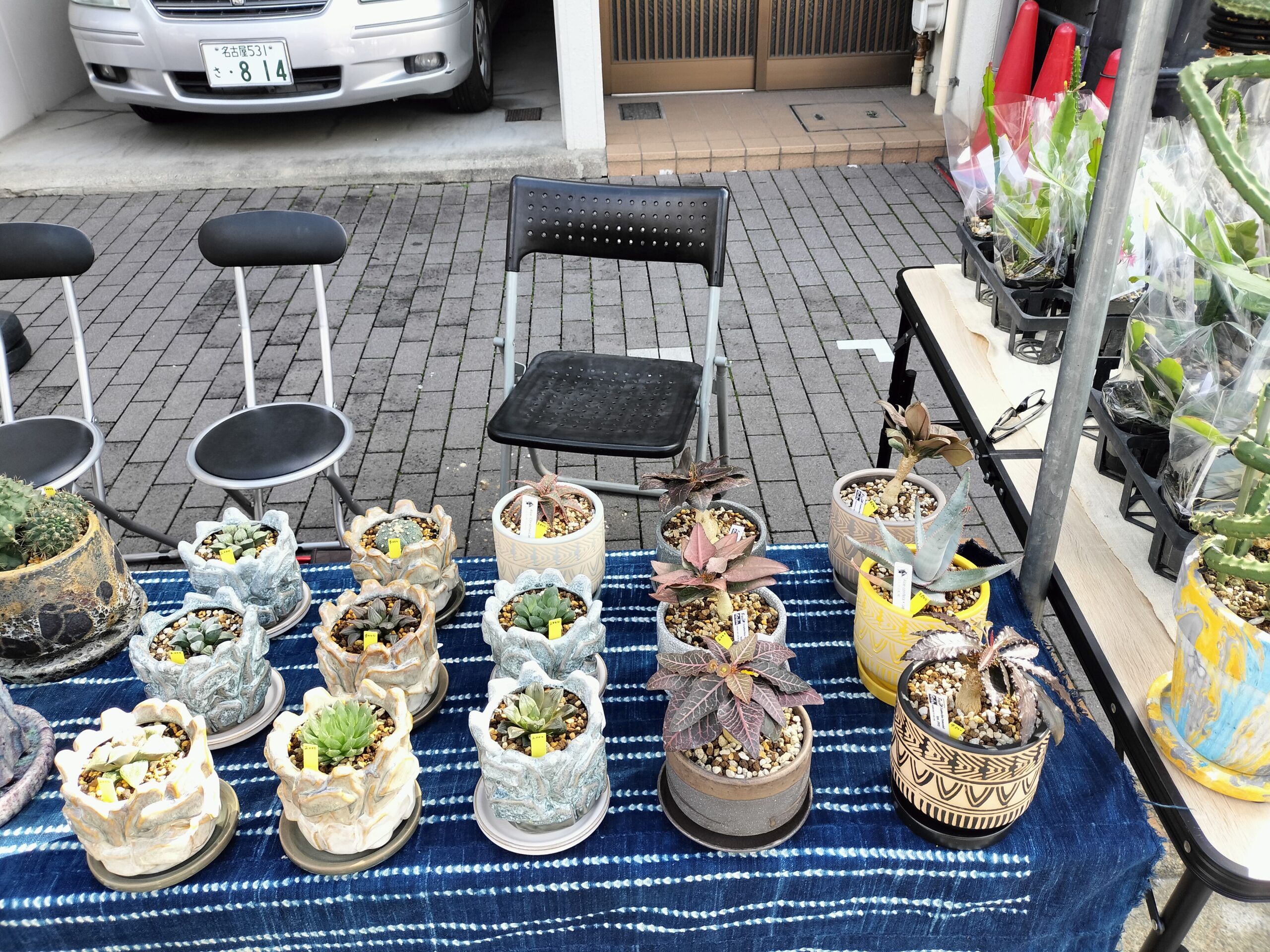 覚王山日泰寺秋祭りに出店したよ！